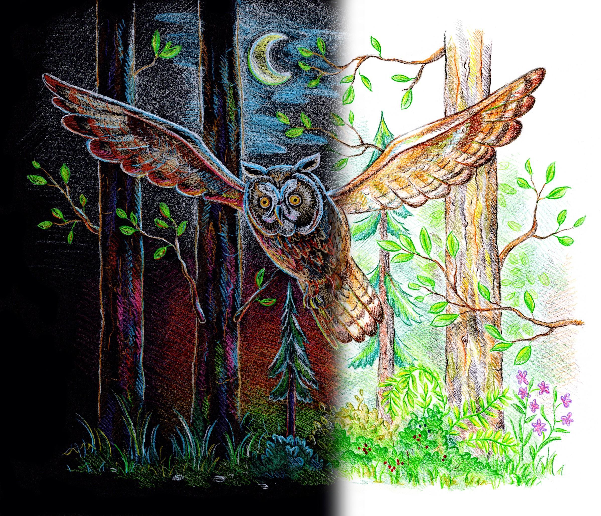 Chalk Colored Pencils 12C Staedtler 149C C12