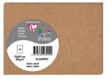 Pollen colored envelope Clairefontaine 148x210mm 5 Pieces